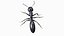 3D Ant walking game ready model