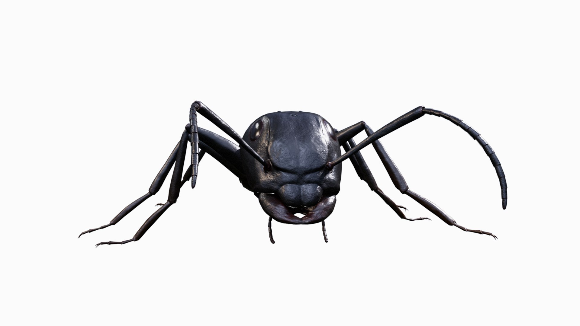 3D Ant walking game ready model https://p.turbosquid.com/ts-thumb/D6/2ZIHyl/G6/ant_1/png/1761051497/1920x1080/fit_q87/e4abf8908b45eae57d717791e8fc55768b741caa/ant_1.jpg