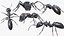 3D Ant walking game ready model
