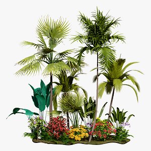 3D model 3D Tropical Plants Island Asset Pack