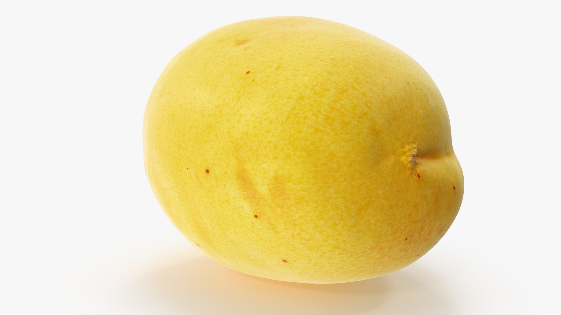3D Apricot 01 Hi Polys - TurboSquid 1452106