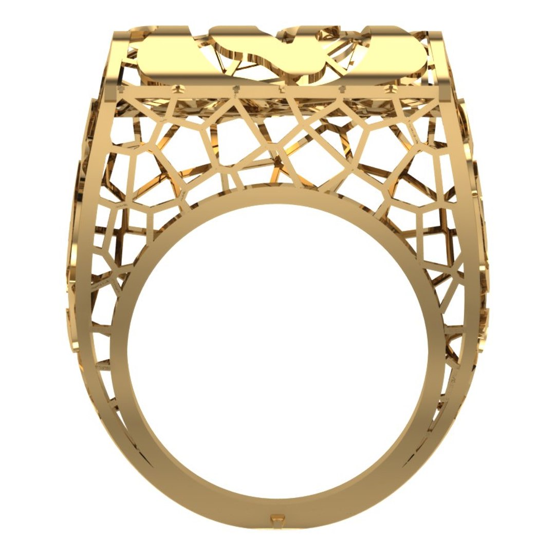 fantasy ring 3D https://p.turbosquid.com/ts-thumb/D6/ANPmhC/Q8pWW02x/04/jpg/1522846994/1920x1080/fit_q87/c05cbb3d52d1c0b8118dcbf7778935620285f343/04.jpg