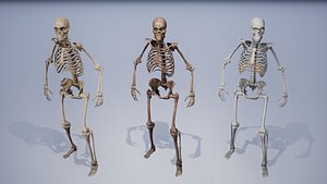 Lowpoly PBR Human Skeleton Remains