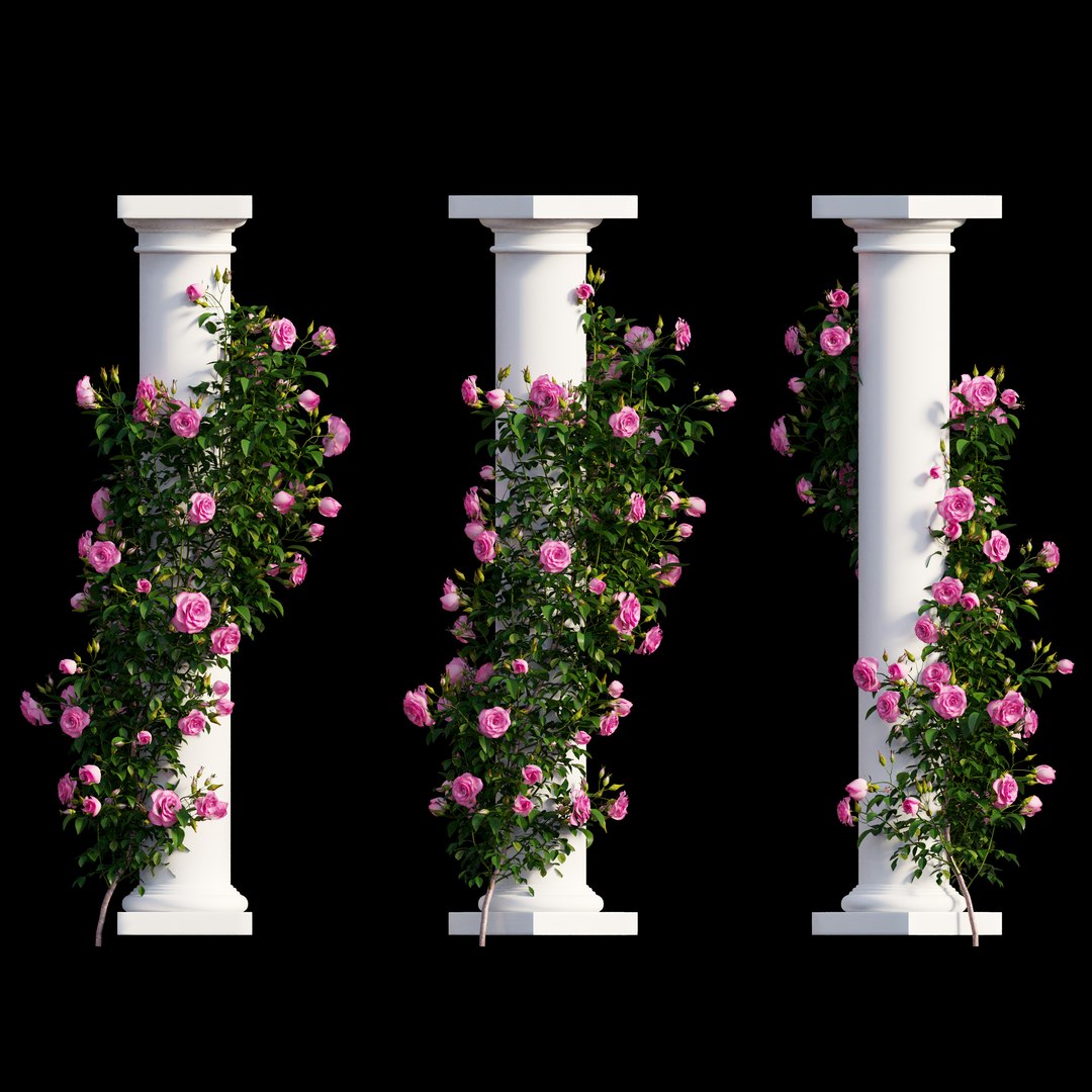 3D rose plant set 10 https://p.turbosquid.com/ts-thumb/D6/LJRXjF/sUlO68QQ/view04/jpg/1587157495/1920x1080/fit_q87/40352f4ed1d60525a245a2c140b0403cd400d1c8/view04.jpg