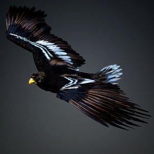 3D Eagle-A3