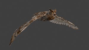 Cape eagle owl