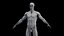 Male Skeleton Ligaments and Muscles Static