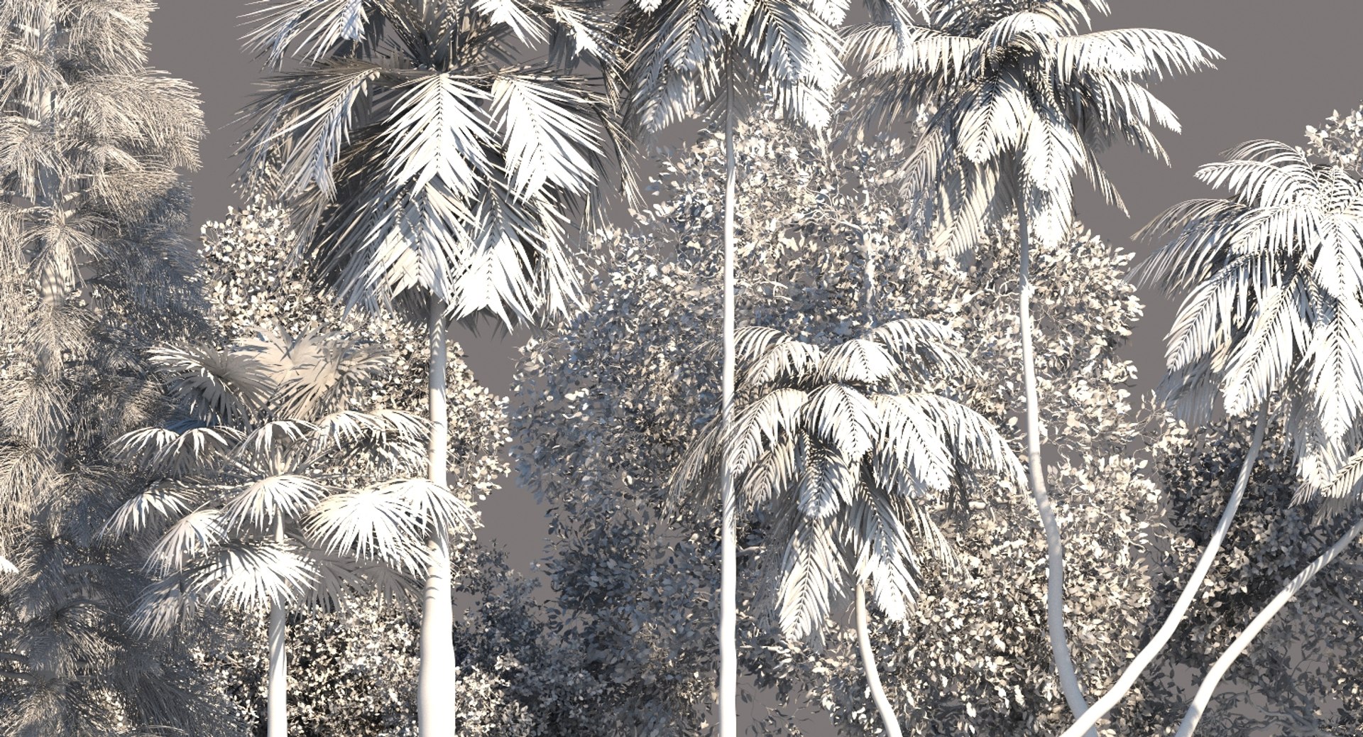 palm trees 3D model https://p.turbosquid.com/ts-thumb/D6/l0xg0p/66yT0nnC/tp110/jpg/1580062983/1920x1080/fit_q87/a60fbea30a884f76eef07cd20befce246dd1f702/tp110.jpg