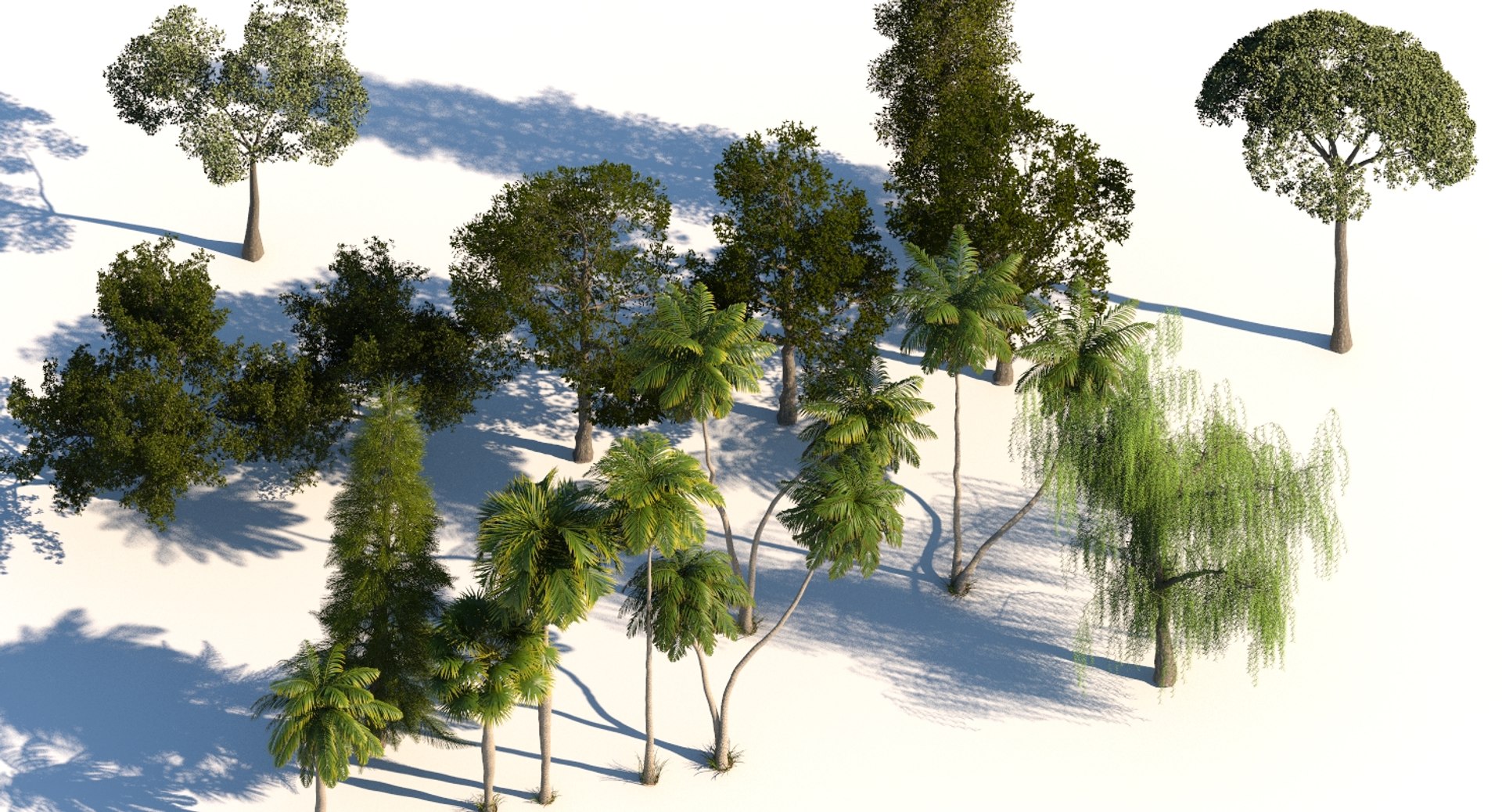 palm trees 3D model https://p.turbosquid.com/ts-thumb/D6/l0xg0p/7n8RPp09/tp16/jpg/1580062983/1920x1080/fit_q87/32e460b1213fa663c65578493379ee2e4e9a3c70/tp16.jpg
