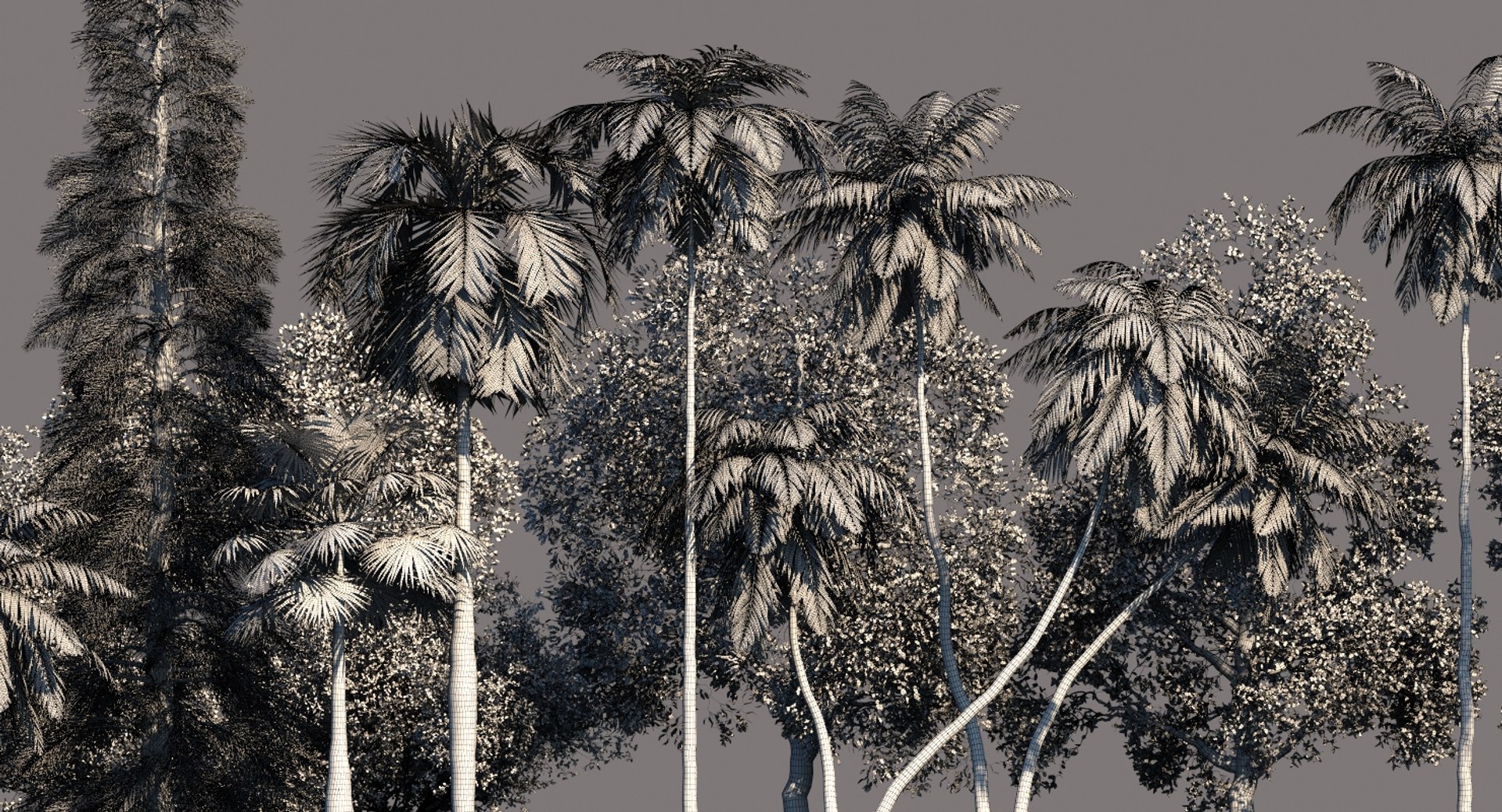 palm trees 3D model https://p.turbosquid.com/ts-thumb/D6/l0xg0p/UoGcgNeI/tp111/jpg/1580062983/1920x1080/fit_q87/ba45b87ea68523ea000445ef593a6aa7c4374af8/tp111.jpg