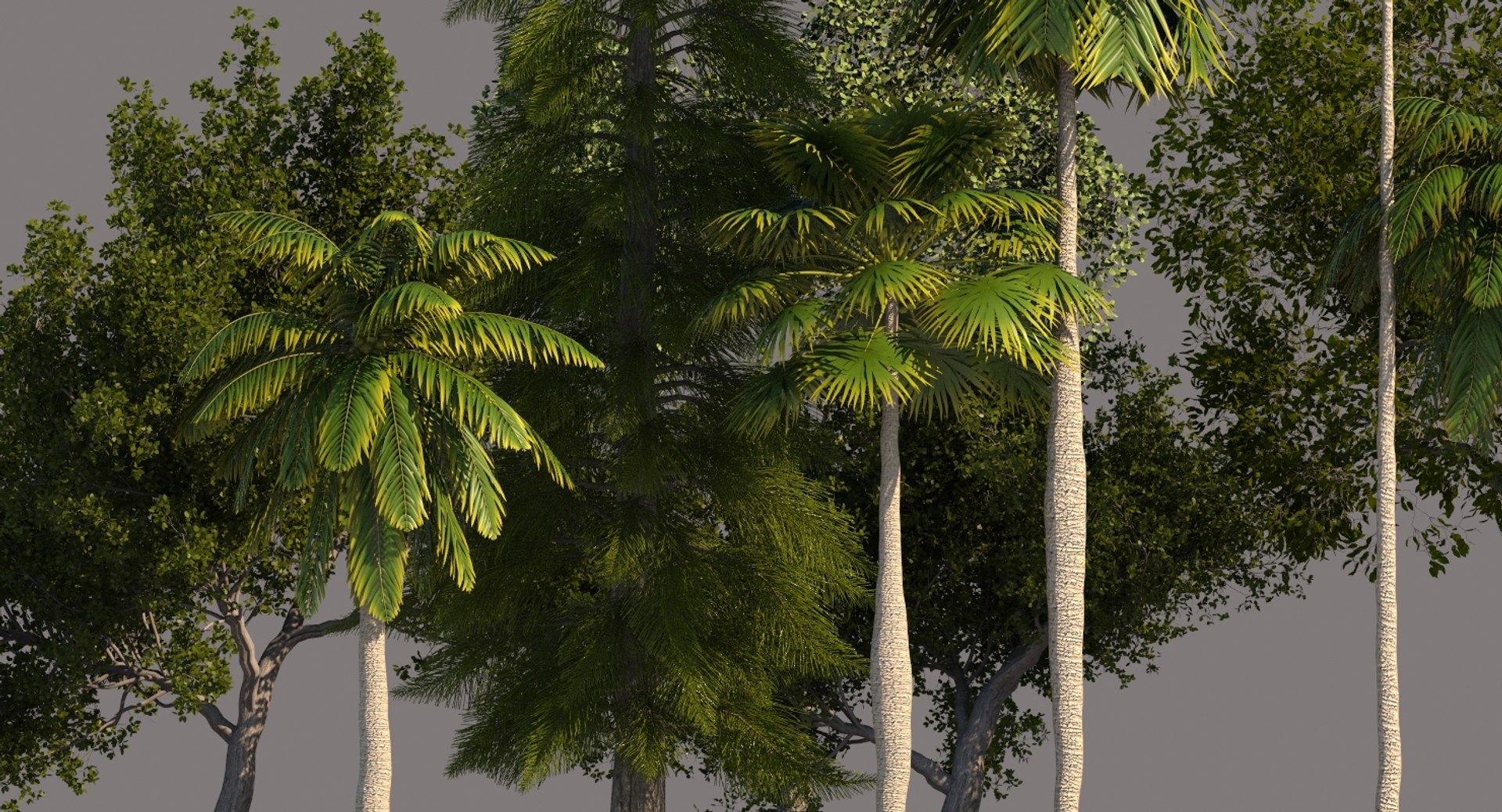 palm trees 3D model https://p.turbosquid.com/ts-thumb/D6/l0xg0p/mhDNqoIy/tp12/jpg/1580062983/1920x1080/fit_q87/39620170c49c8a4349b6315678742f639aac080b/tp12.jpg