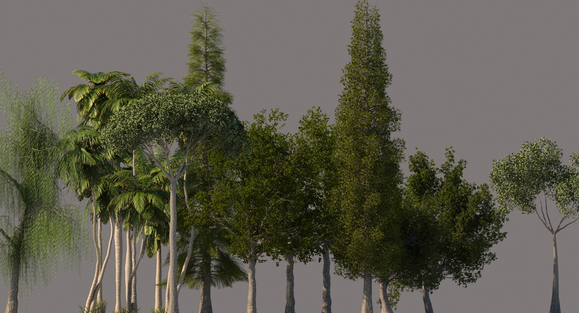 palm trees 3D model https://p.turbosquid.com/ts-thumb/D6/l0xg0p/ti6M8Cfj/tp17/jpg/1580062983/1920x1080/fit_q87/794047c38e3e40951ed0e446c80f1337074ce4d3/tp17.jpg