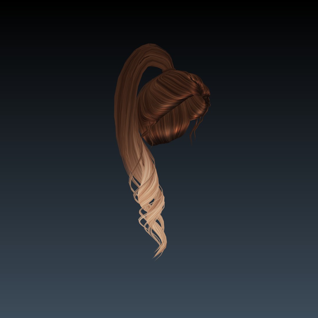 3d Hairstyle Secondlife Accesories Model Turbosquid 1654448 8200