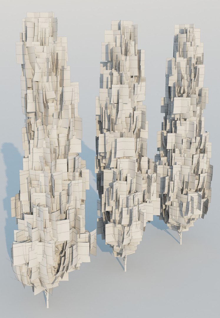 Thuja Tree 3d Model