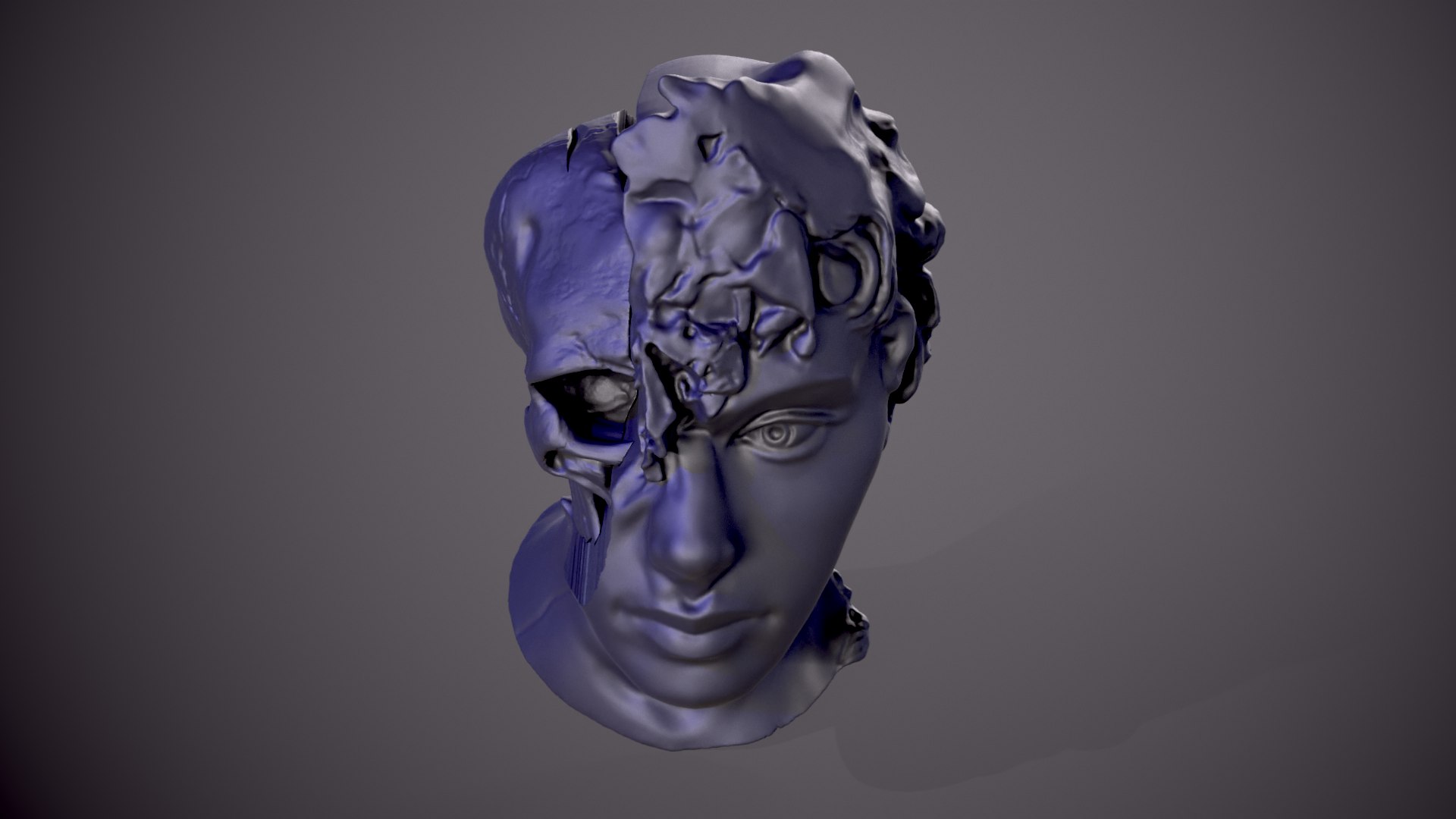 3D Half Head Half Skull 3D model - TurboSquid 2170492