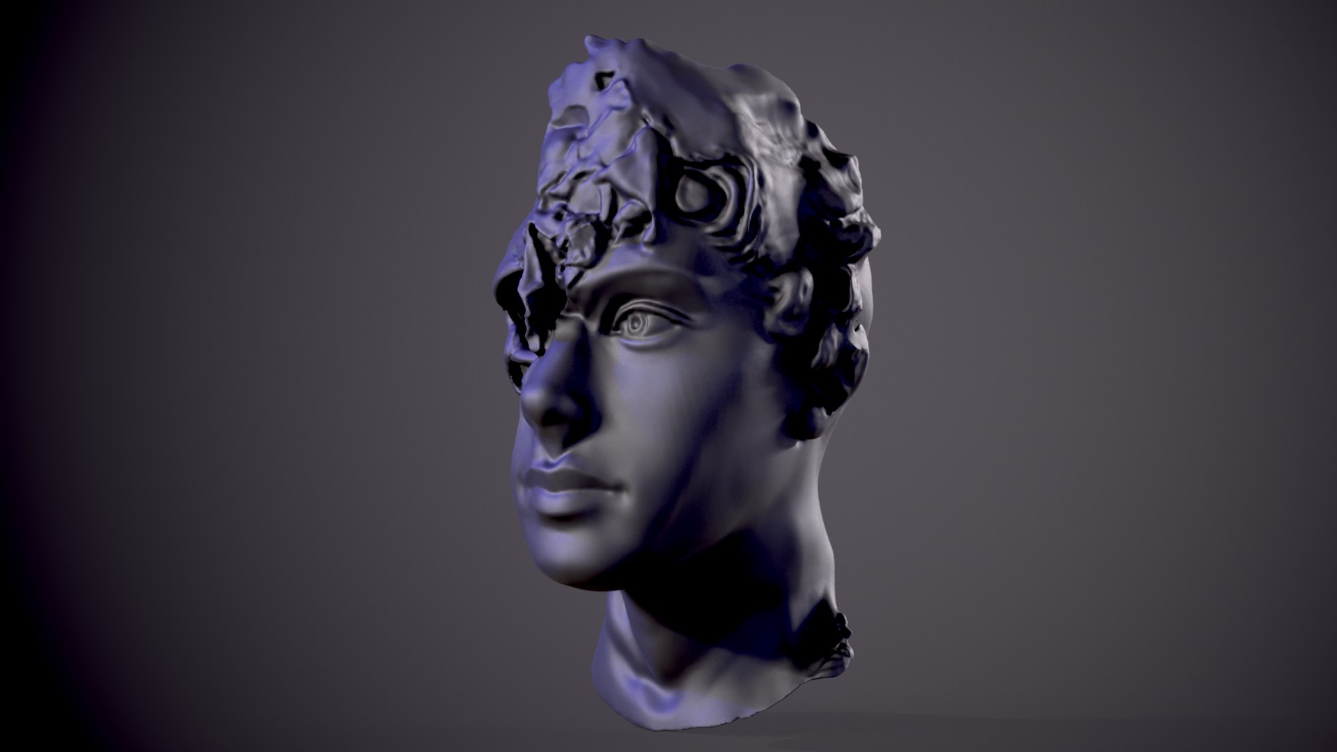 3D Half Head Half Skull 3D model - TurboSquid 2170492