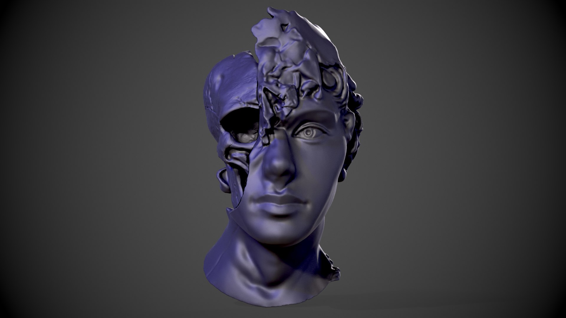 3d Half Head Half Skull 3d Model - Turbosquid 2170492