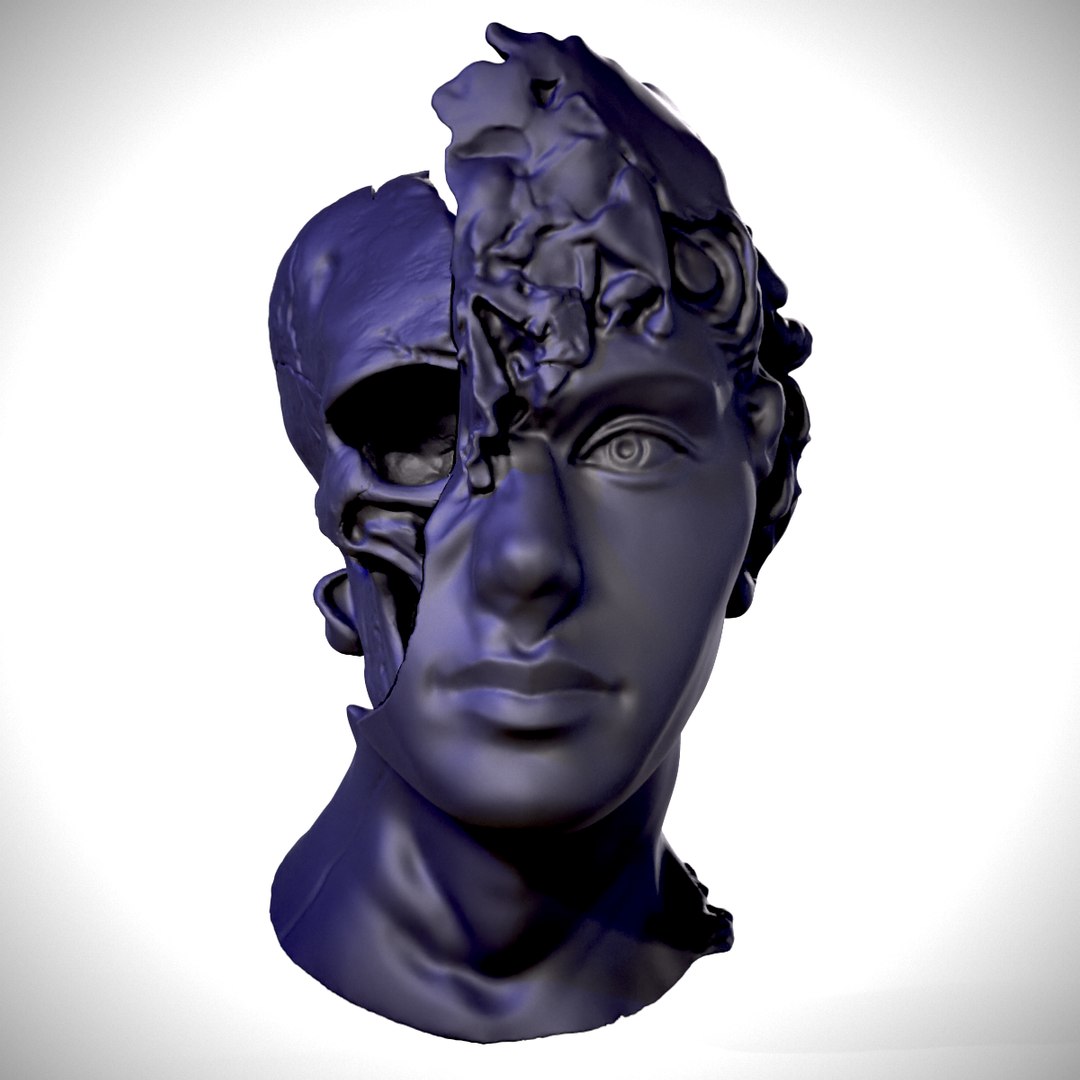 3D Half Head Half Skull 3D model - TurboSquid 2170492