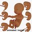 3d model Human embryo fetus Growth animation