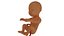 3d model Human embryo fetus Growth animation