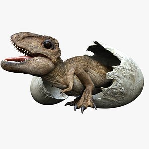 Trex baby 3D Rigged
