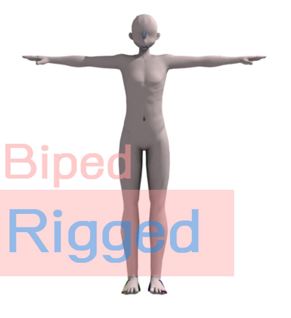Biped Rigged 3d Model