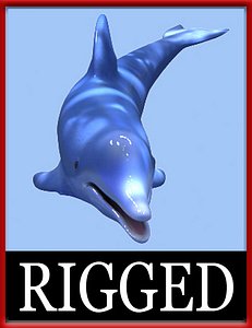 Dolphin