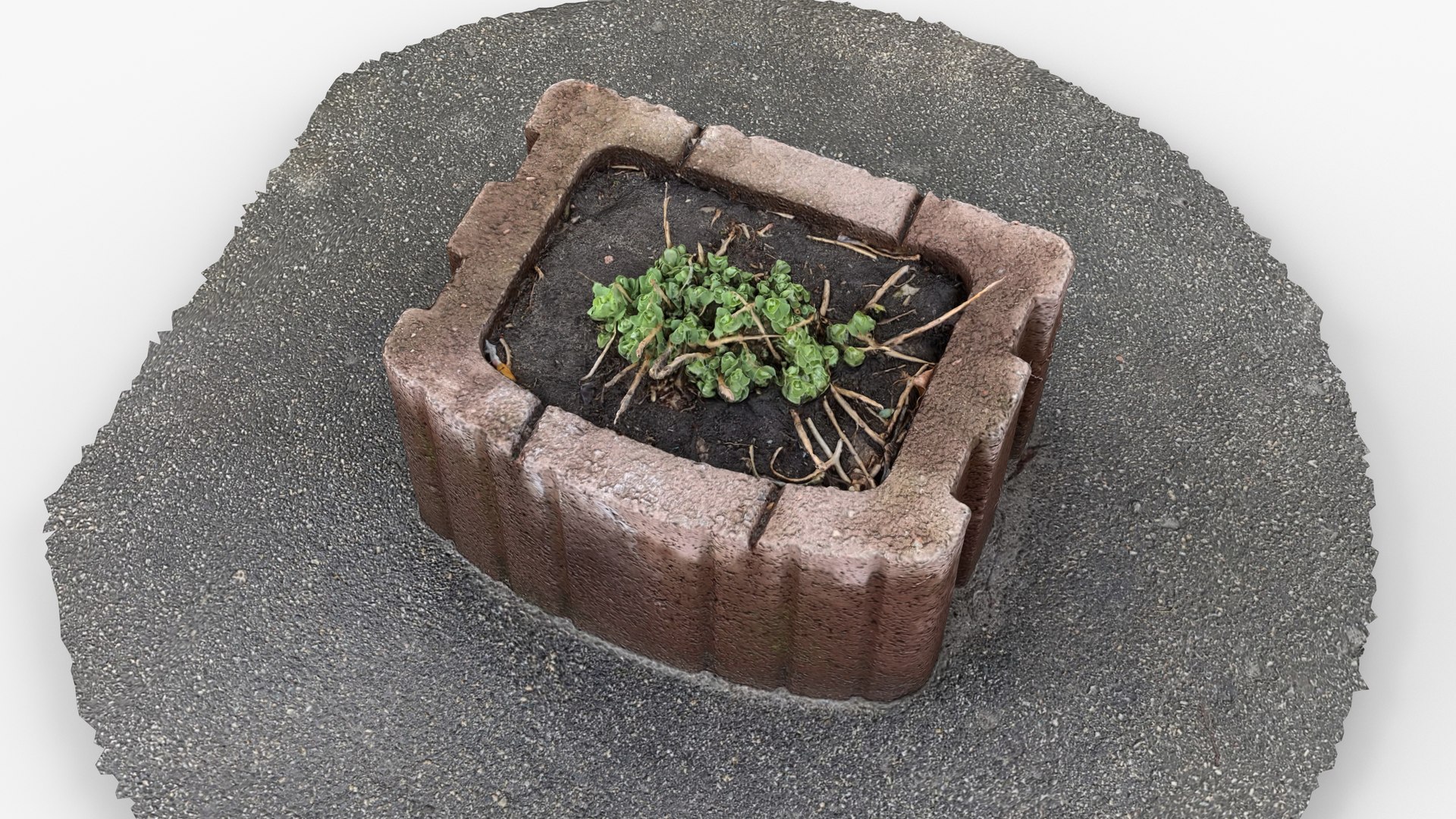 3D Photorealistic 3D scan of concrete abandoned empty planter https://p.turbosquid.com/ts-thumb/D7/YfMB8H/MZ/view_100001/jpg/1742540369/1920x1080/fit_q87/a59dcec63e20dd864acc6ec47d3f3f20754637dc/view_100001.jpg