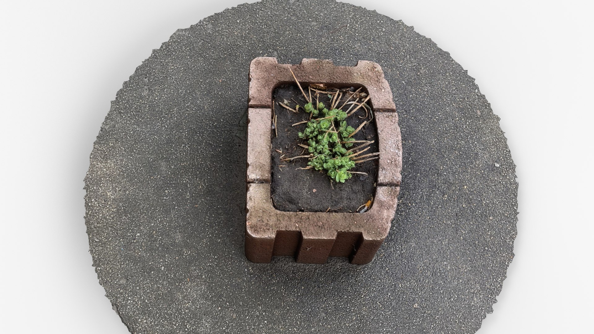 3D Photorealistic 3D scan of concrete abandoned empty planter https://p.turbosquid.com/ts-thumb/D7/YfMB8H/jj/view_060001/jpg/1742540364/1920x1080/fit_q87/9da5467f56b157a40777868320062e79997082e1/view_060001.jpg