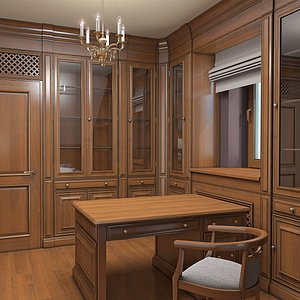 Library Cabinet Interior