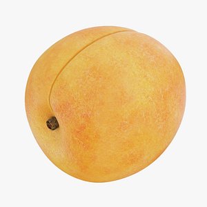 3D Apricot model