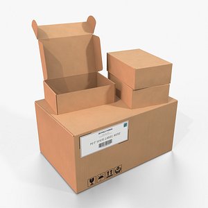 3D Cardboard Box Collection - Standard Duo Set