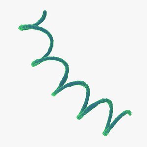 Syphilis