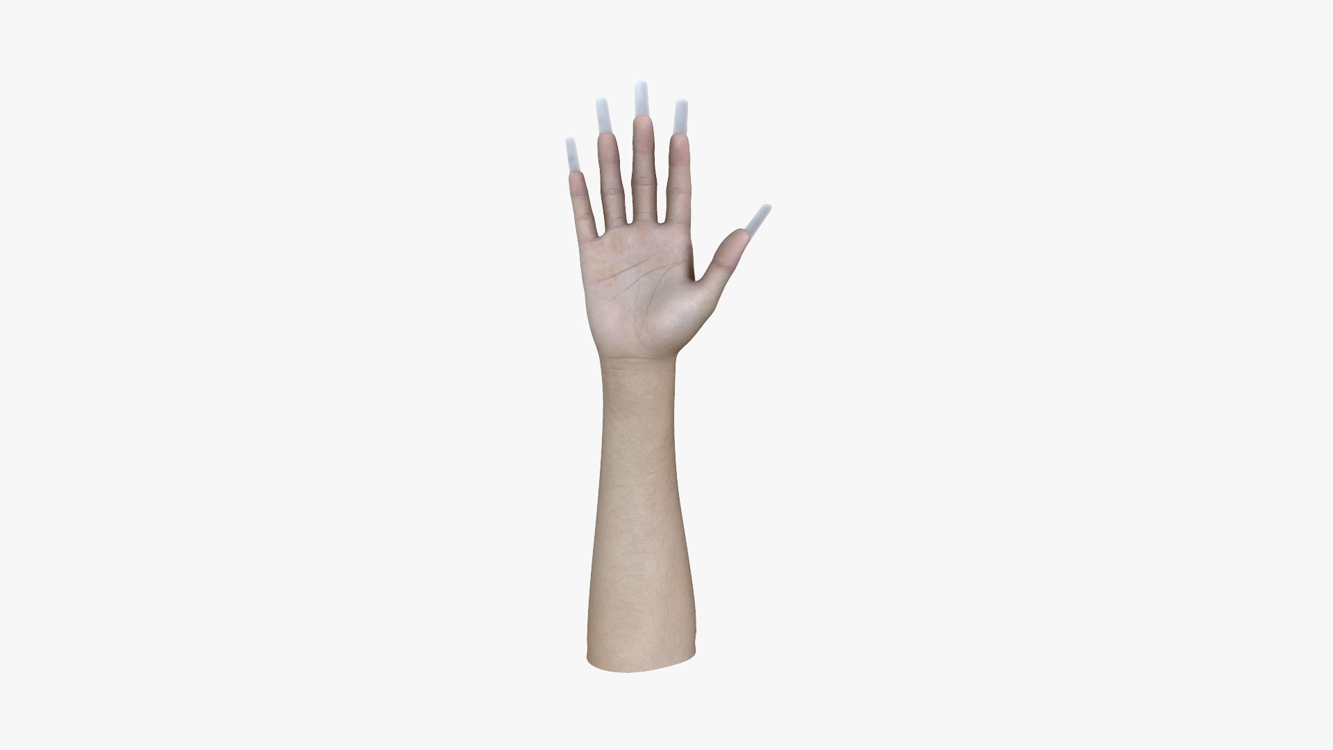 HND-019 Rigged Right Hand 3D - TurboSquid 1999053