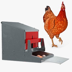 Rigged Chicken with Rollaway Nest Box Collection for Maya model