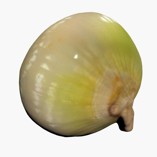 1stsignatureimageonion.jpg