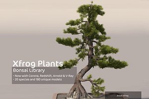 3d model bonsai trees dvd plants