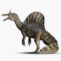 Spinosaurus mirabilis Rig