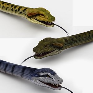 3D 3 in 1 Anaconda Rigged an Animated model