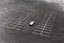 road universal wet asphalt 3d max