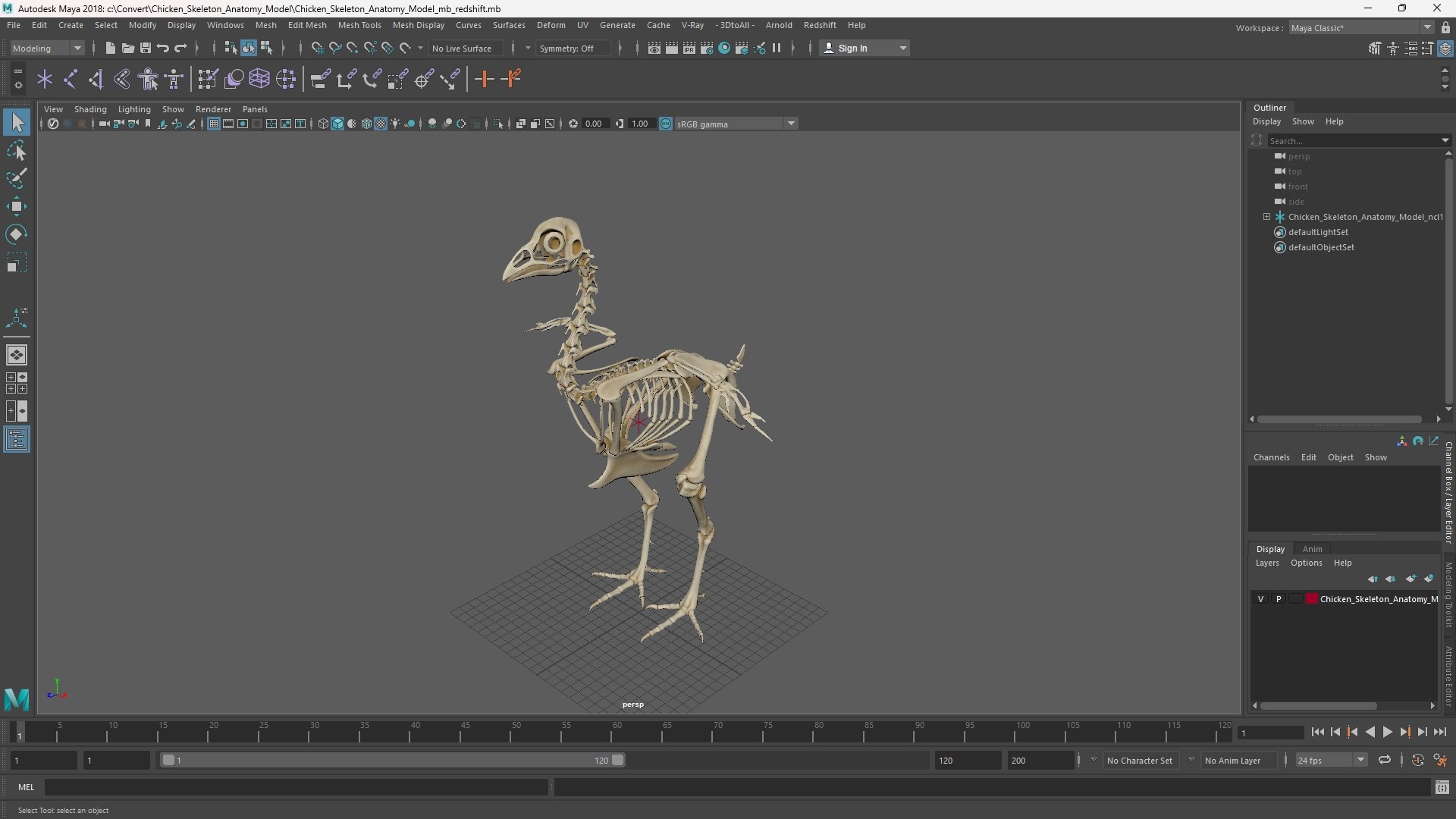 Chicken Skeleton Anatomy Model 3D https://p.turbosquid.com/ts-thumb/D8/gkUeu4/Sc/chicken_skeleton_anatomy_model_1002/jpg/1759847859/1920x1080/fit_q87/6a8c4deef61a15e3e1fad74116d09a888a9e2e4a/chicken_skeleton_anatomy_model_1002.jpg