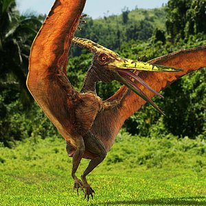 Pteranodon Flying Carnivorous Reptile Rigged for Cinema 4D