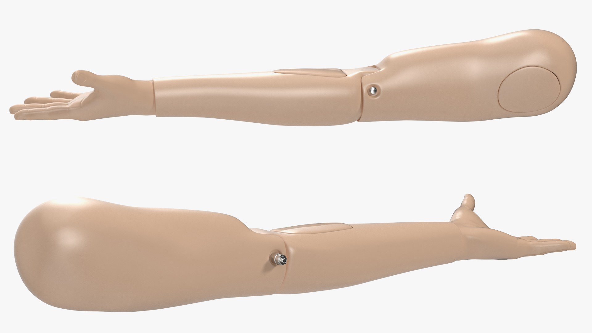 Student Practice Arm Simulator 3D - TurboSquid 1487480