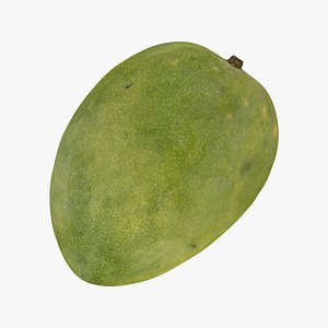 mango 03 raw scan 3D model