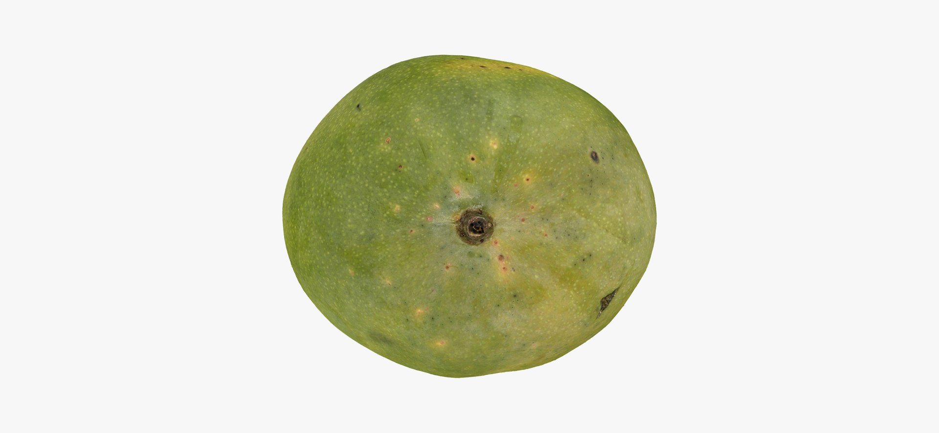 mango 03 raw scan 3D model https://p.turbosquid.com/ts-thumb/D9/7OAqhG/oHL1mnrx/mango03thumbnail07/jpg/1606755564/1920x1080/fit_q87/b04c40da23e1dc933bbe529b001f81eb5f5d1136/mango03thumbnail07.jpg