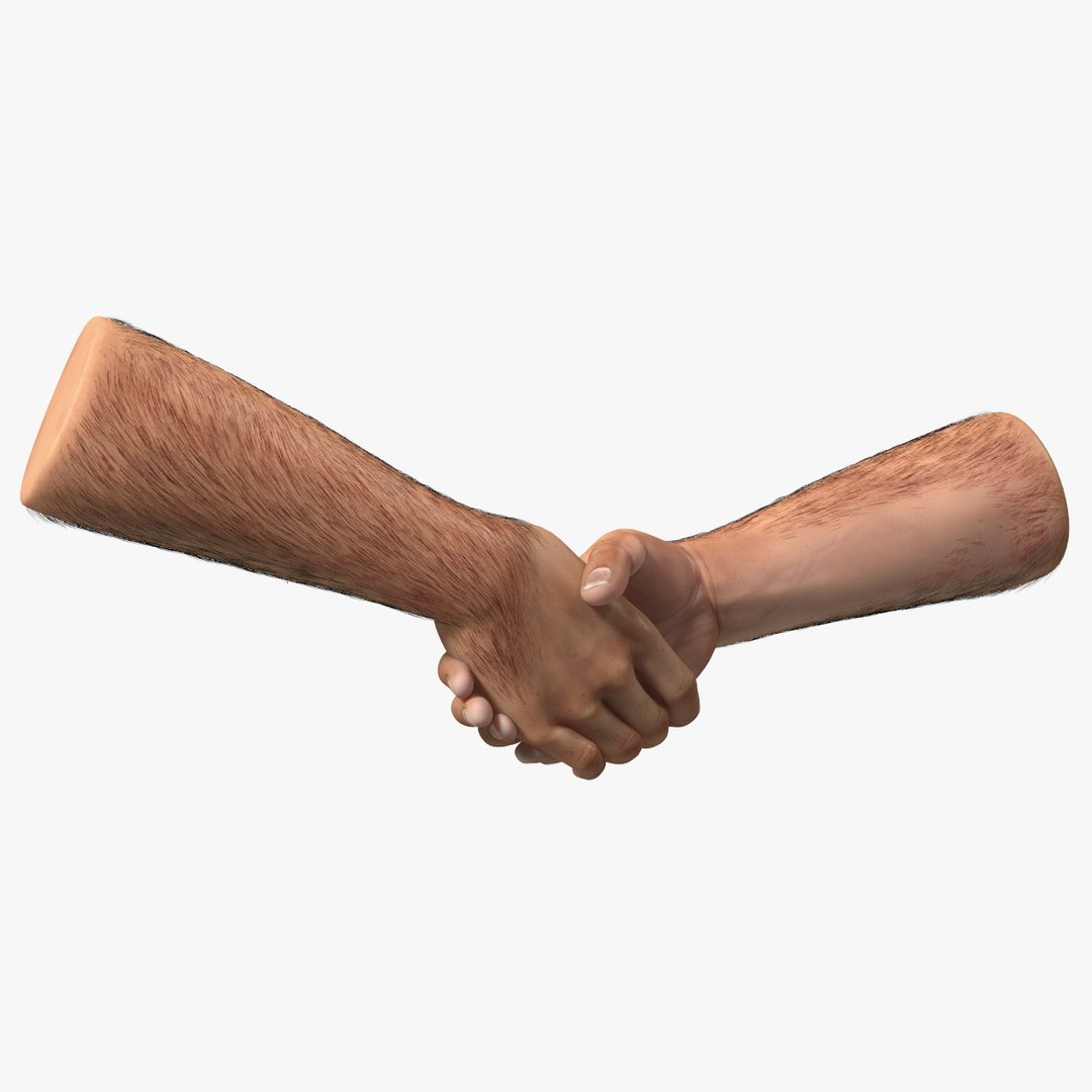 Handshake Man Hands with Fur 3D model preview