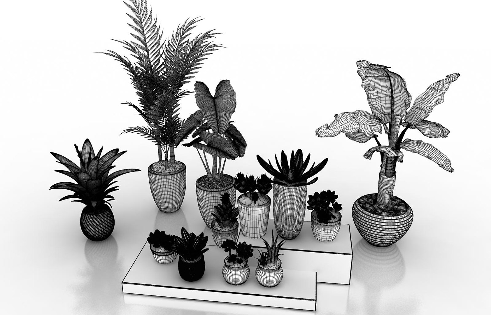 Plant set 3D model - TurboSquid 1555827