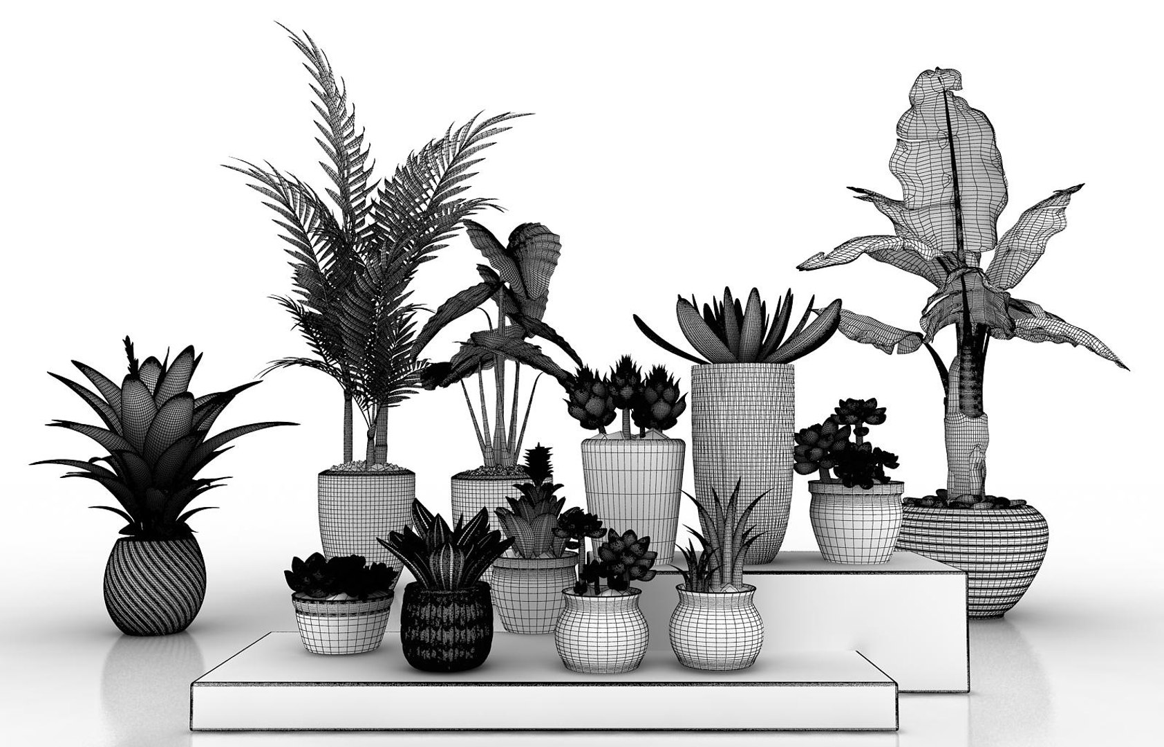 Plant set 3D model - TurboSquid 1555827
