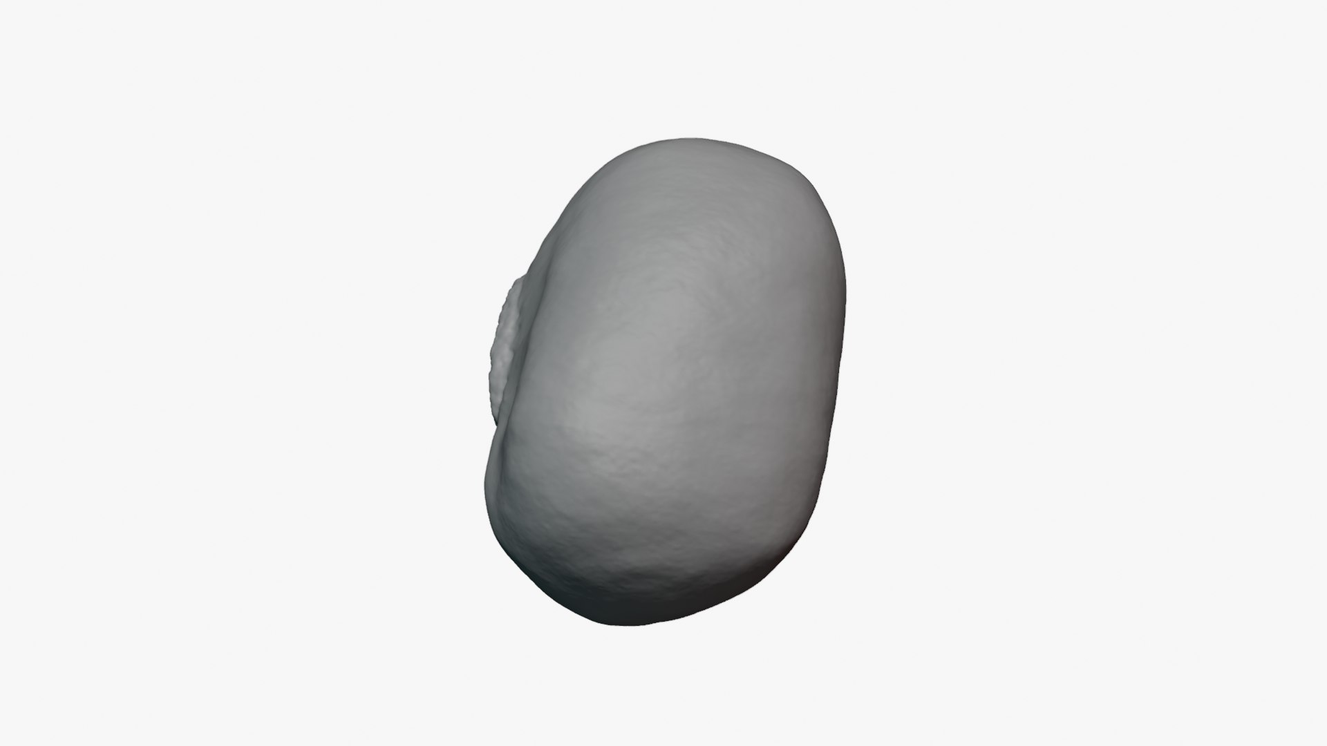 Mung Bean - For 3D Print 3D https://p.turbosquid.com/ts-thumb/D9/P1IwH5/2k/mungbean_0011/png/1764938062/1920x1080/fit_q87/121ffd7a6ff7f78fd6d7dbe1c7de040152b0d191/mungbean_0011.jpg
