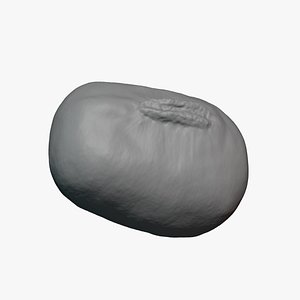 Mung Bean - For 3D Print